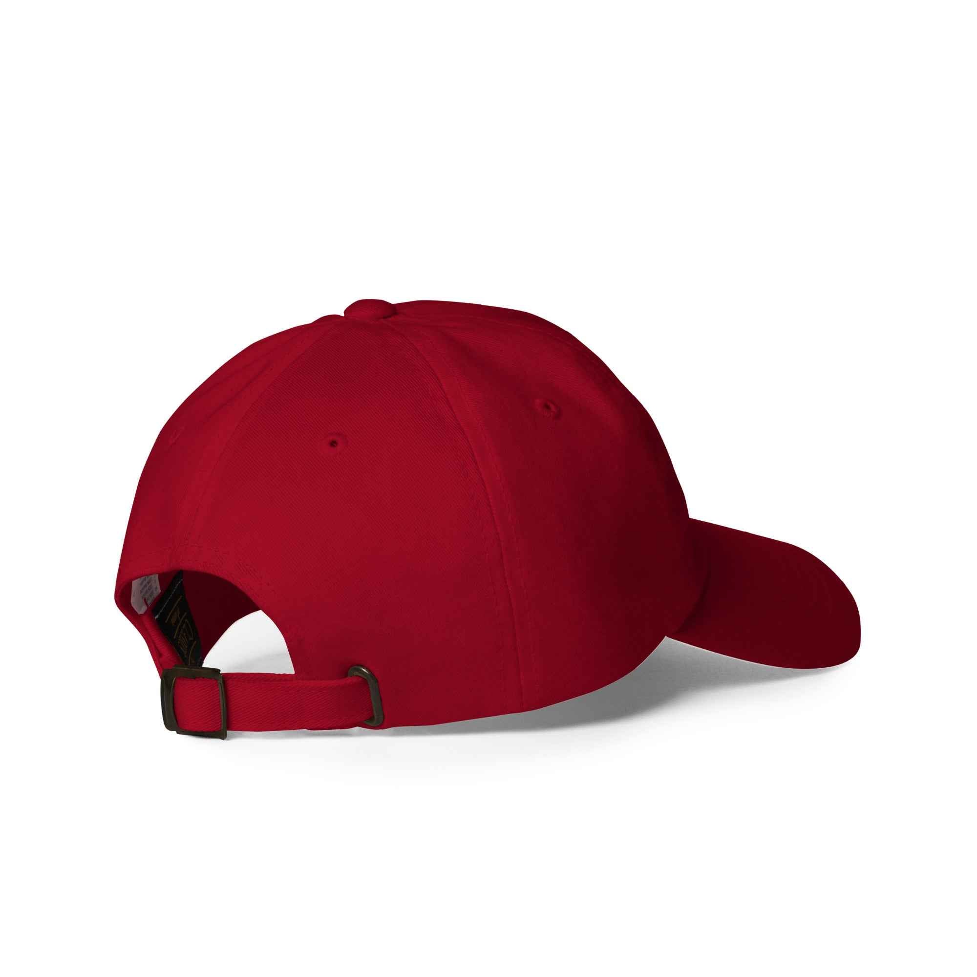 National Sarcasm Society Funny Quote hat